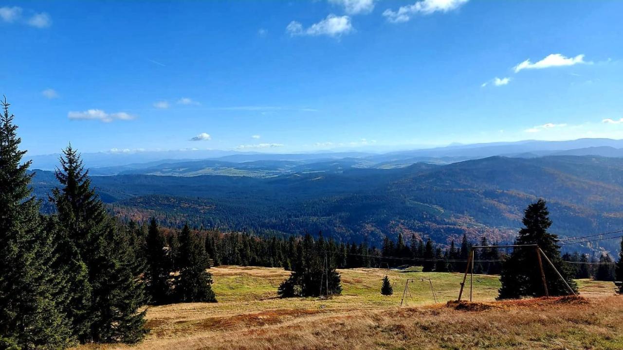 Pokoje Pod Szyndzielnia Bielsko-Biala Exterior photo